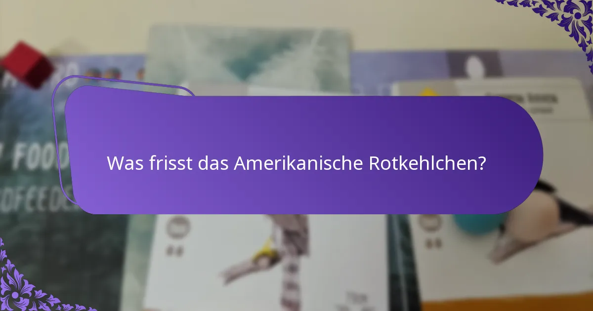 Was frisst das Amerikanische Rotkehlchen?