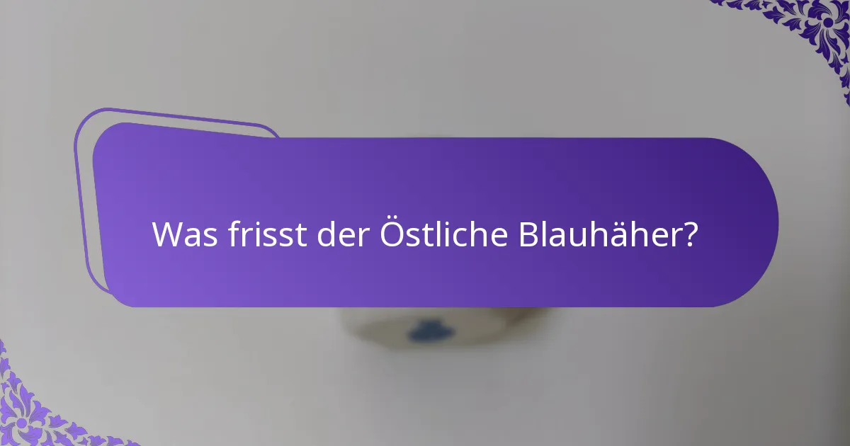 Welchen Lebensraum bevorzugt der Östliche Blauhäher?