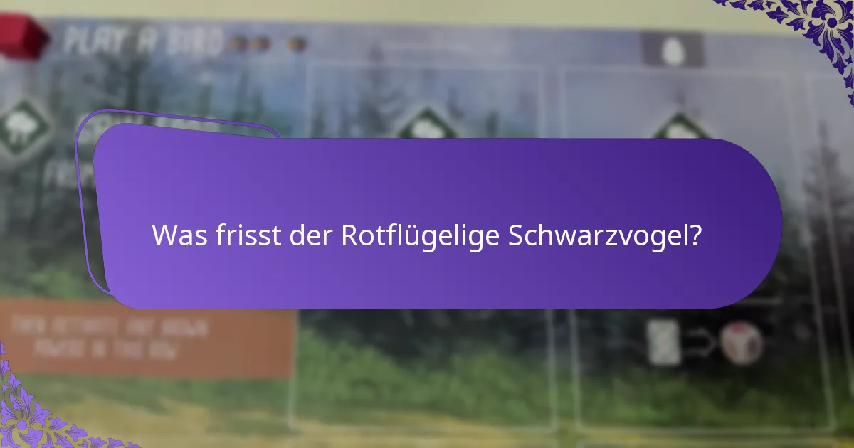 Was ist der Lebensraum des Rotflügeligen Schwarzvogels?