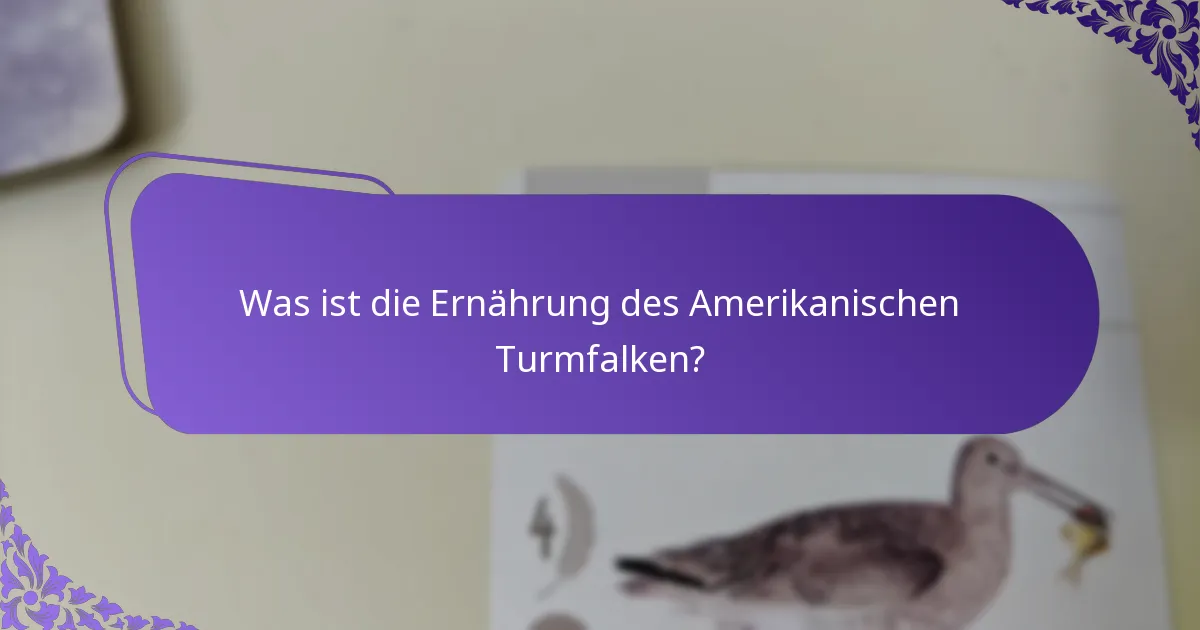 Wo lebt der Amerikanische Turmfalke typischerweise?