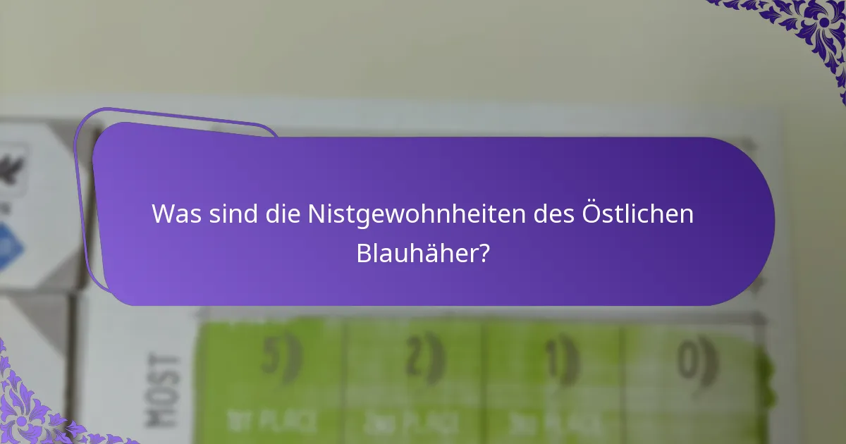 Was frisst der Östliche Blauhäher?