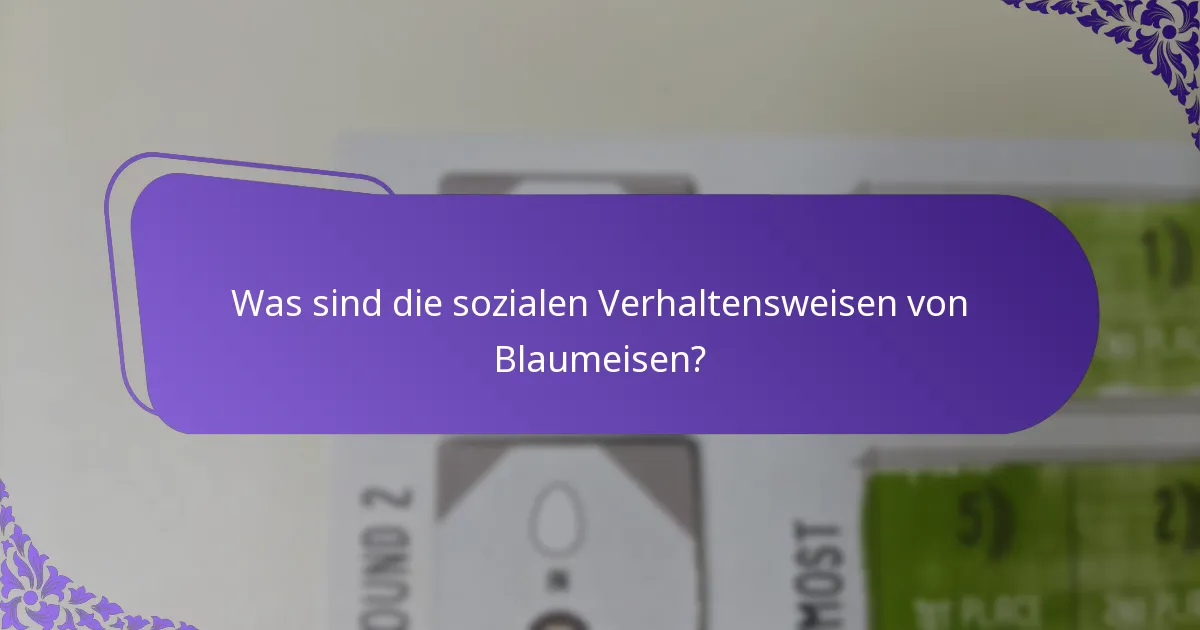 Was ist die Ernährung von Blaumeisen?