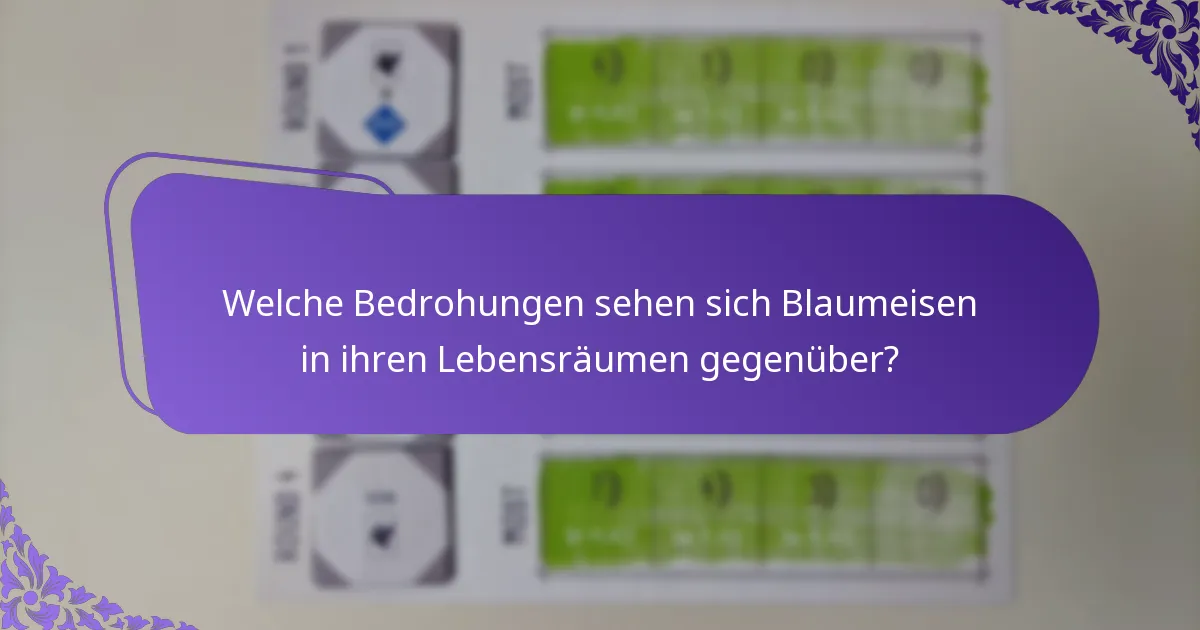 Wie interagieren Blaumeisen mit ihrer Umgebung?
