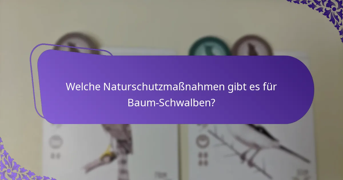 Wie interagieren Baum-Schwalben mit ihrem Ökosystem?