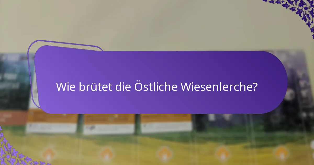 Wie brütet die Östliche Wiesenlerche?