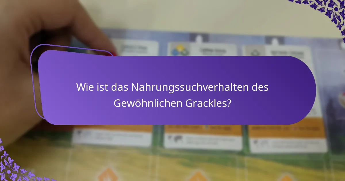 Wie sind die Fortpflanzungsgewohnheiten des Gewöhnlichen Grackles?
