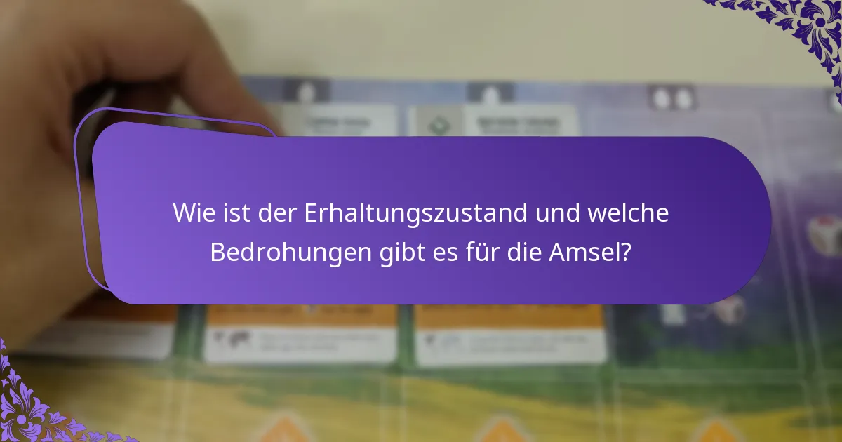Wie ist der Erhaltungszustand und welche Bedrohungen gibt es für die Amsel?