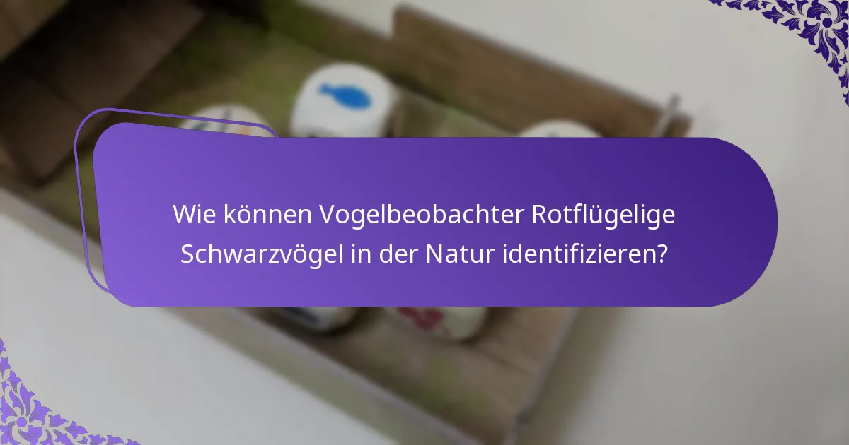 Wie können Vogelbeobachter Rotflügelige Schwarzvögel in der Natur identifizieren?