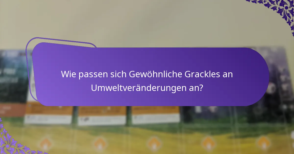 Wie passen sich Gewöhnliche Grackles an Umweltveränderungen an?