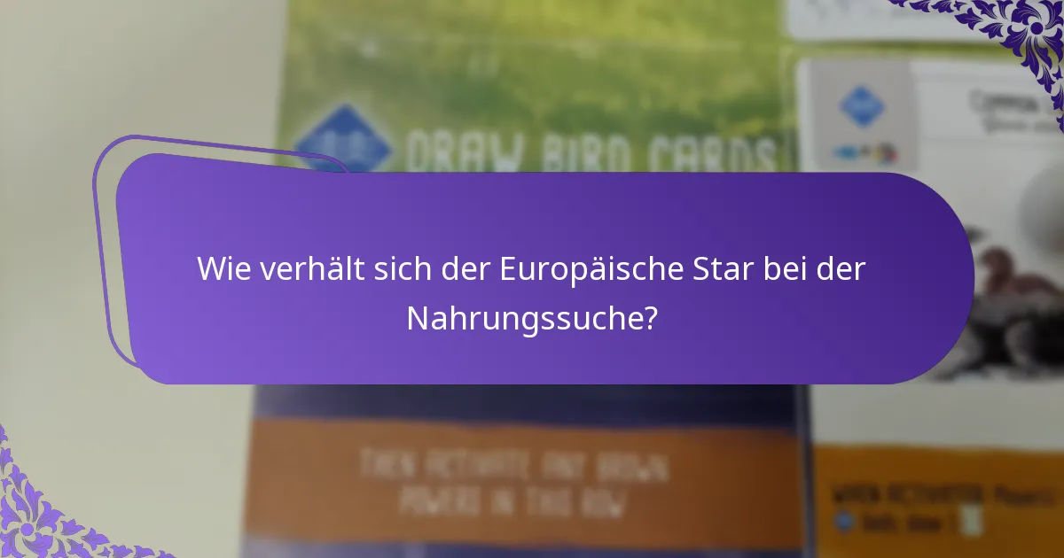 Welche ökologischen Auswirkungen hat der Europäische Star?