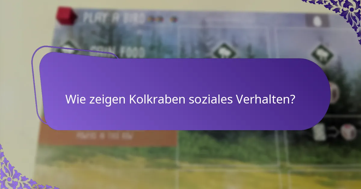 Wie vergleichen sich Kolkraben mit anderen Rabenvögeln?